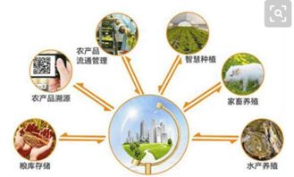 智慧農(nóng)業(yè)的網(wǎng)絡(luò)技術(shù)研發(fā) 借鑒國(guó)外經(jīng)驗(yàn)，探索中國(guó)特色發(fā)展道路